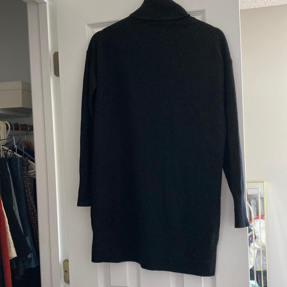 Everlane 100% cashmere wool turtleneck sweater dress black xs